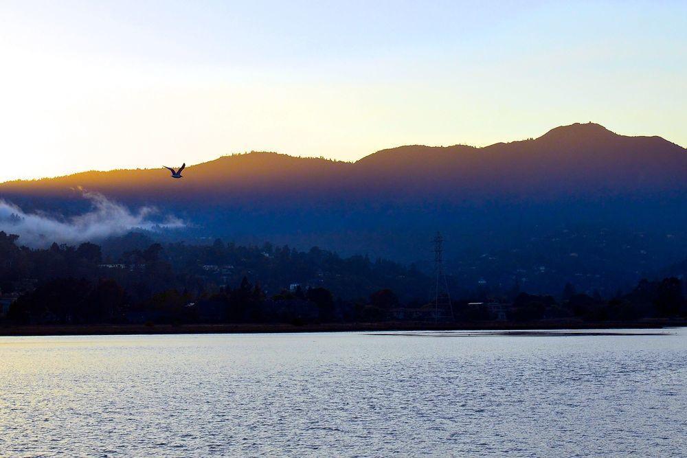 Acqua Hotel Mill Valley
