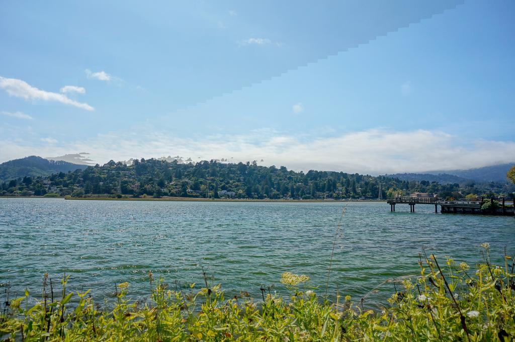 Acqua